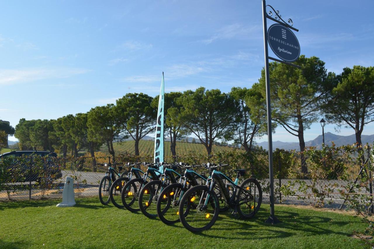 Agriturismo Torre Del Marino 布里西盖拉 外观 照片